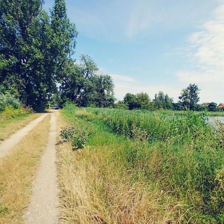 Apartmán Przy Alei Krakowskiej Raszyn Exteriér fotografie