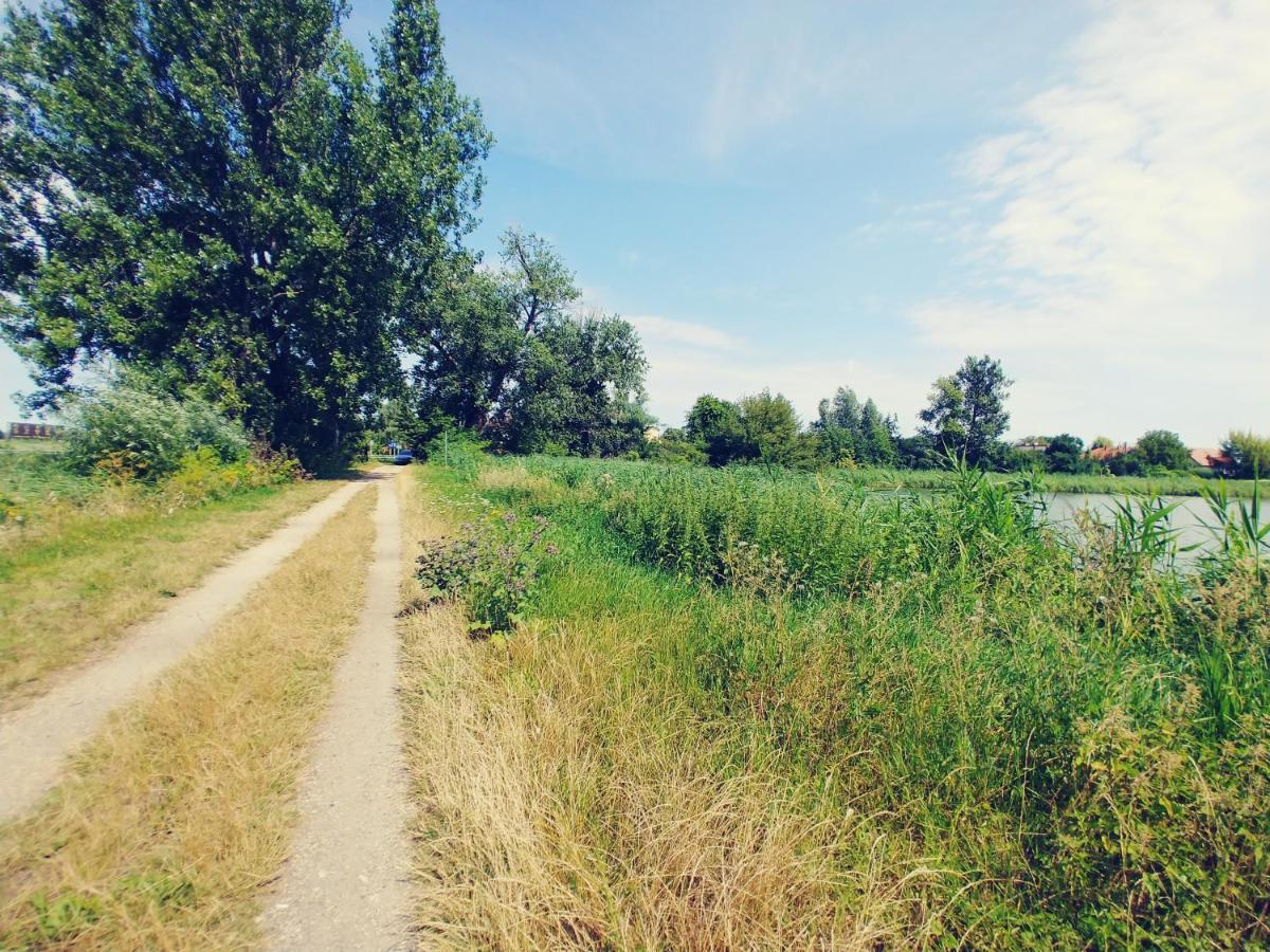 Apartmán Przy Alei Krakowskiej Raszyn Exteriér fotografie